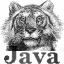 [java]